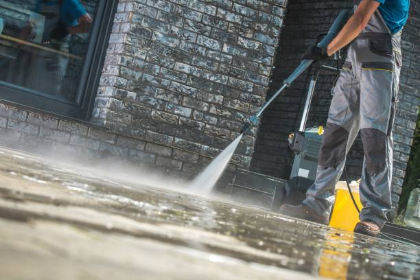 Best Patio and Deck Pressure Washing  in Elmo, TX